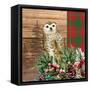 Woodland Christmas Square 2-Kim Allen-Framed Stretched Canvas