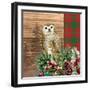 Woodland Christmas Square 2-Kim Allen-Framed Art Print