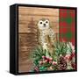 Woodland Christmas Square 2-Kim Allen-Framed Stretched Canvas