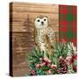 Woodland Christmas Square 2-Kim Allen-Stretched Canvas