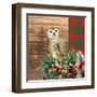 Woodland Christmas Square 2-Kim Allen-Framed Art Print