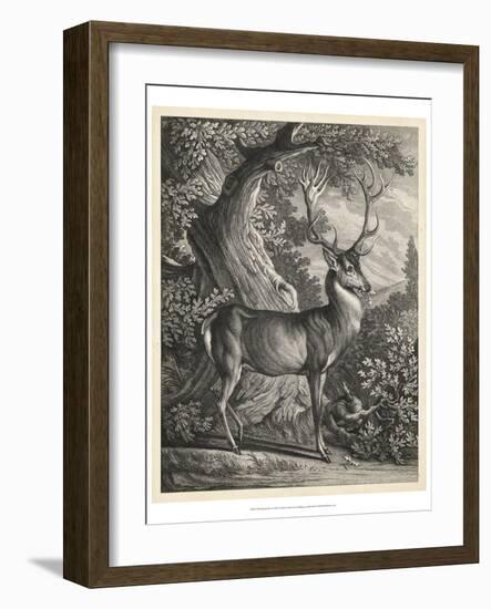 Woodland Deer I-Ridinger-Framed Art Print