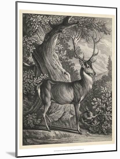 Woodland Deer I-Ridinger-Mounted Art Print