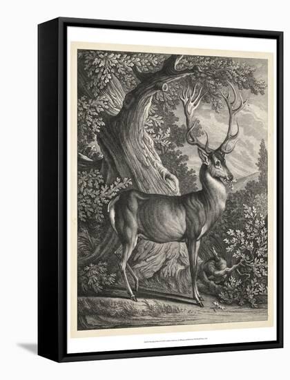 Woodland Deer I-Ridinger-Framed Stretched Canvas