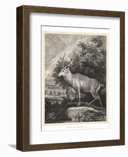 Woodland Deer II-Ridinger-Framed Art Print