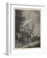 Woodland Deer III-Ridinger-Framed Art Print