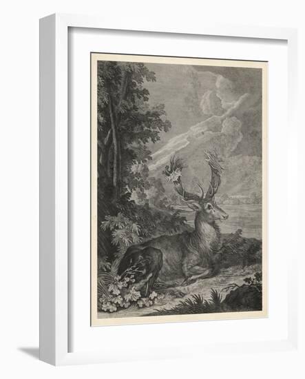 Woodland Deer III-Ridinger-Framed Art Print
