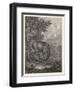 Woodland Deer IV-Ridinger-Framed Art Print