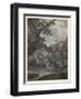 Woodland Deer VI-Ridinger-Framed Art Print
