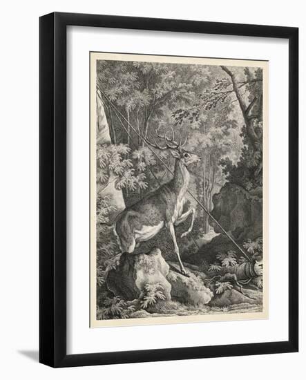 Woodland Deer VII-Ridinger-Framed Art Print