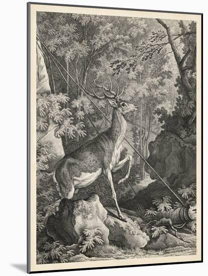 Woodland Deer VII-Ridinger-Mounted Art Print