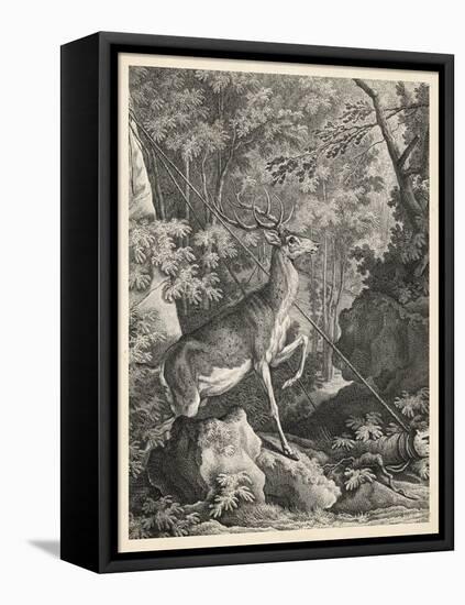 Woodland Deer VII-Ridinger-Framed Stretched Canvas