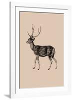 Woodland - Deer-Maria Mendez-Framed Giclee Print