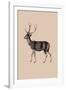 Woodland - Deer-Maria Mendez-Framed Giclee Print