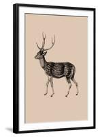 Woodland - Deer-Maria Mendez-Framed Giclee Print