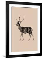 Woodland - Deer-Maria Mendez-Framed Giclee Print