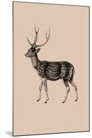 Woodland - Deer-Maria Mendez-Mounted Giclee Print