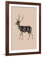 Woodland - Deer-Maria Mendez-Framed Giclee Print