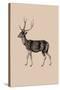 Woodland - Deer-Maria Mendez-Stretched Canvas