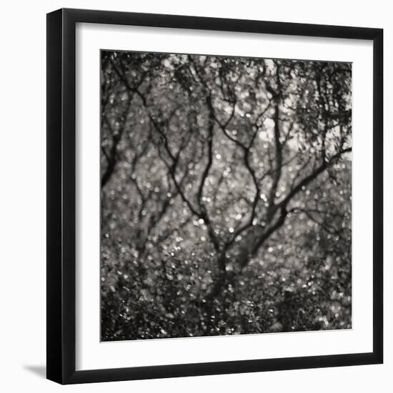 Woodland Dreams I-Doug Chinnery-Framed Photographic Print
