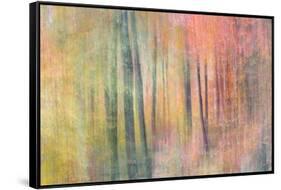 Woodland Dreams IV-Doug Chinnery-Framed Stretched Canvas