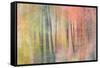 Woodland Dreams IV-Doug Chinnery-Framed Stretched Canvas