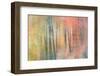 Woodland Dreams IV-Doug Chinnery-Framed Photographic Print