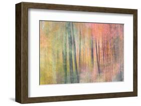 Woodland Dreams IV-Doug Chinnery-Framed Photographic Print