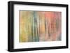 Woodland Dreams IV-Doug Chinnery-Framed Photographic Print