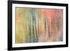 Woodland Dreams IV-Doug Chinnery-Framed Photographic Print