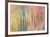 Woodland Dreams IV-Doug Chinnery-Framed Photographic Print