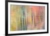 Woodland Dreams IV-Doug Chinnery-Framed Photographic Print