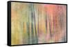 Woodland Dreams IV-Doug Chinnery-Framed Stretched Canvas