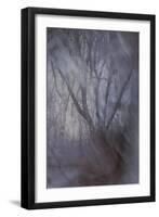 Woodland Dreams-Doug Chinnery-Framed Giclee Print