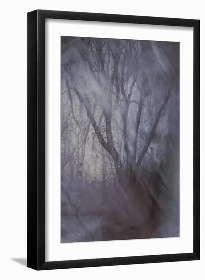 Woodland Dreams-Doug Chinnery-Framed Giclee Print