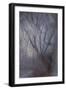 Woodland Dreams-Doug Chinnery-Framed Giclee Print