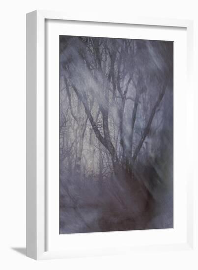 Woodland Dreams-Doug Chinnery-Framed Giclee Print