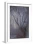 Woodland Dreams-Doug Chinnery-Framed Giclee Print