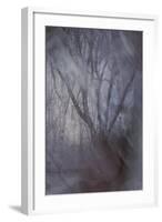 Woodland Dreams-Doug Chinnery-Framed Giclee Print