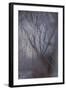 Woodland Dreams-Doug Chinnery-Framed Giclee Print