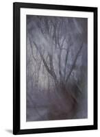 Woodland Dreams-Doug Chinnery-Framed Giclee Print