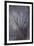 Woodland Dreams-Doug Chinnery-Framed Giclee Print