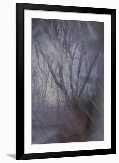 Woodland Dreams-Doug Chinnery-Framed Giclee Print