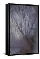 Woodland Dreams-Doug Chinnery-Framed Stretched Canvas