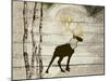 Woodland  Elk-null-Mounted Giclee Print