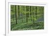 Woodland Escape-Wild Wonders of Europe-Framed Giclee Print