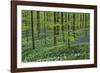 Woodland Escape-Wild Wonders of Europe-Framed Giclee Print