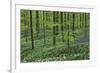 Woodland Escape-Wild Wonders of Europe-Framed Giclee Print