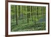 Woodland Escape-Wild Wonders of Europe-Framed Giclee Print