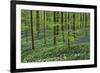 Woodland Escape-Wild Wonders of Europe-Framed Giclee Print